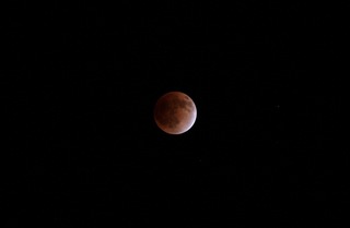 IMG_2201r10s.jpg