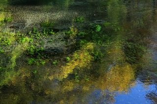IMG_8891.jpg