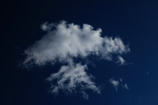 IMG_9014.jpg