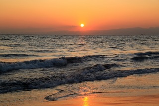 IMG_9031.jpg