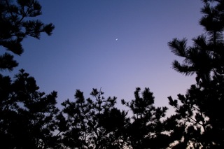 IMG_9082.jpg